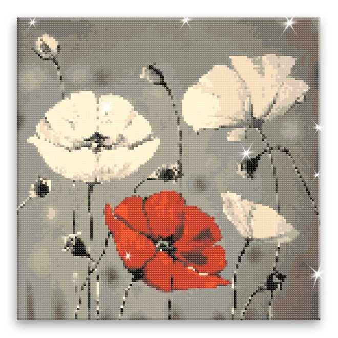 Vlčí mák rudá 40 × 40 cm