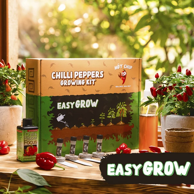 Dárková sada na pěstování chilli papriček – Easy Grow