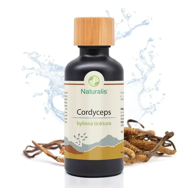 Cordyceps
