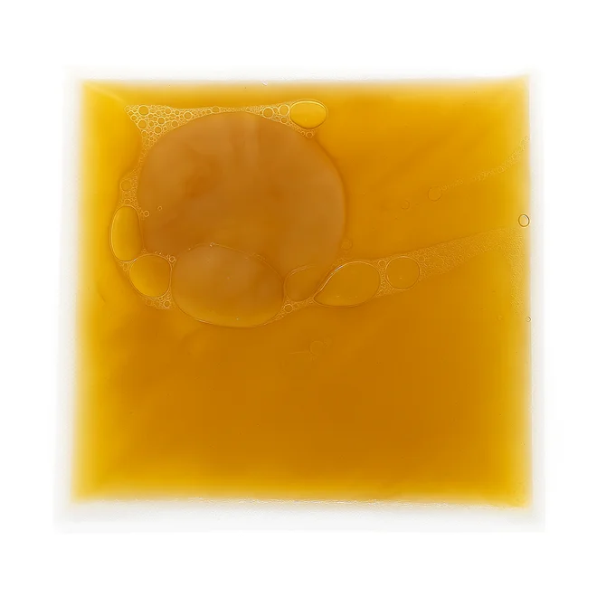 SCOBY startovací nálev - green