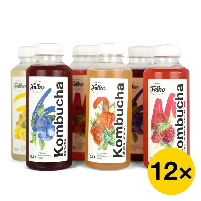 Maxi balíček Falko kombucha (12x 0,5 l)
