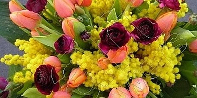 Mohutná kytice z tulipánu a mimózy