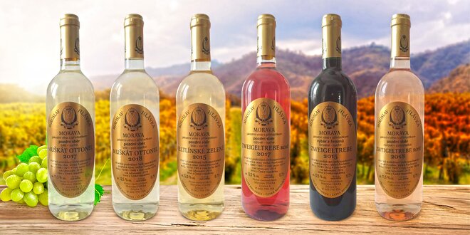 Set prémiových kvalitních vín z Vinařství Hlávka