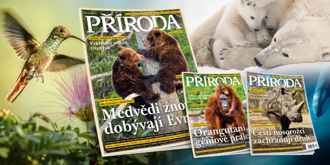 Časopis Příroda: kompletní ročník 2019 s bonusy