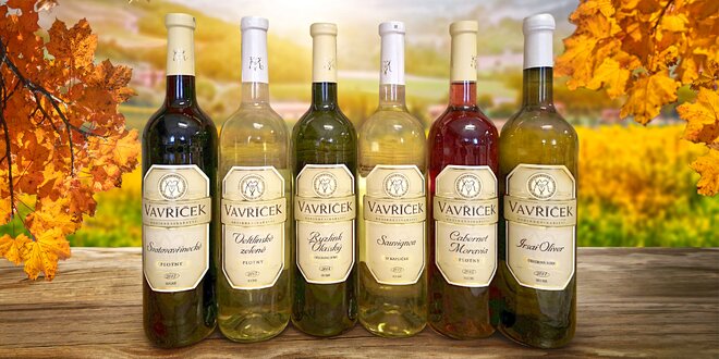 3 nebo 6 lahví vína z rodinného vinařství Vavříček