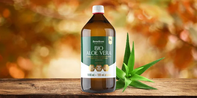 Pro silnější imunitu: 1,1 l aloe vera gelu s dužinou