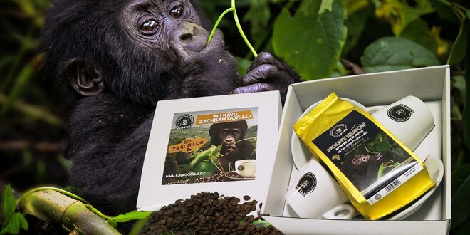 Degustační i dárkový balíček kávy Mountain Gorilla