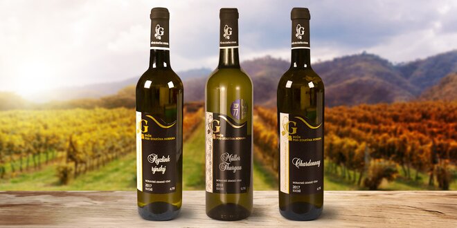 Špičková vína z Moravy: Müller, Ryzlink i Chardonnay