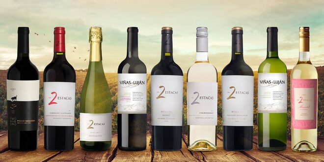 Sety argentinských vín po 1, 2 nebo 3 láhvích