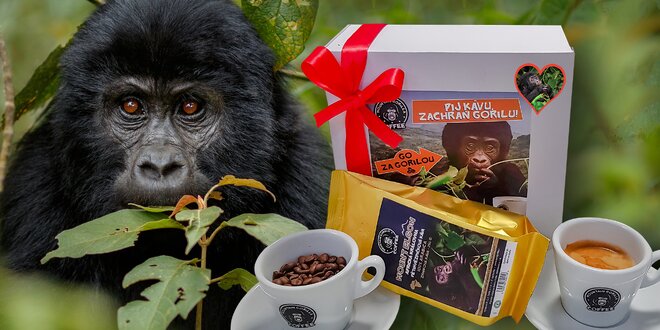 Balíčky kávy a kakaových bobů na podporu goril