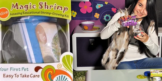 Tančící krevetky a akvárium nejen pro děti