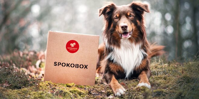 Spokobox: krabice plná pokladů pro pejsky