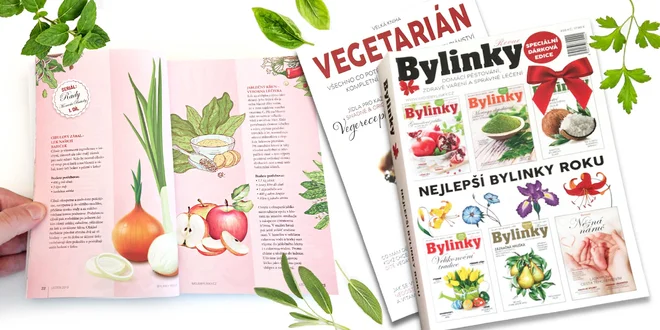Edice 6 knih v jedné: Nejlepší Bylinky roku