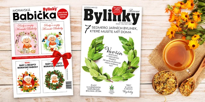 Kniha Moravská babička a časopis Bylinky revue