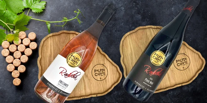 Vína z jižní Moravy: rosé a oceňované červené