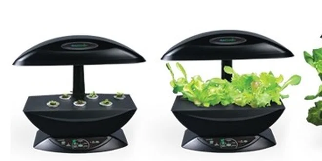 Domácí zahrádka AeroGarden