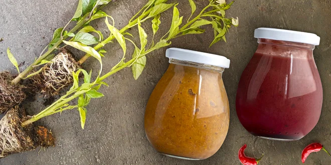 2 fermentované chilli pasty a 3 sazenice papriček