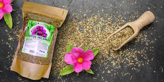 Cistus Incanus: Přírodní detox i podpora imunity
