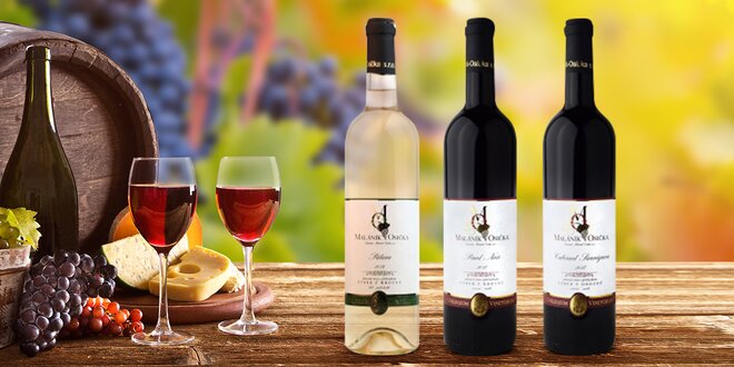 Moravská vína: Pálava, Sauvignon, Pinot Noir