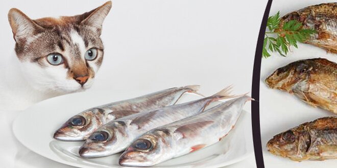 Sušené rybí pamlsky pro pejsky i kočičky
