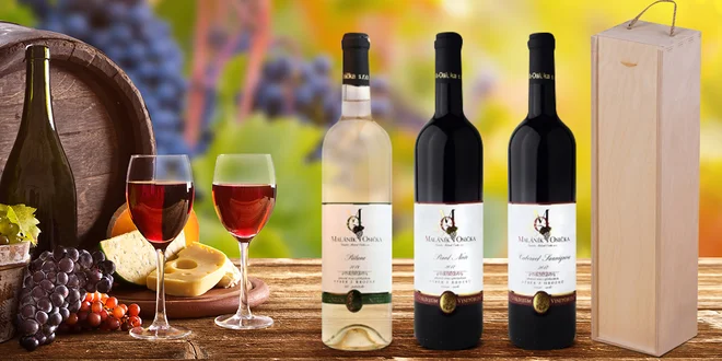 Moravská vína: Pálava, Sauvignon, Pinot Noir