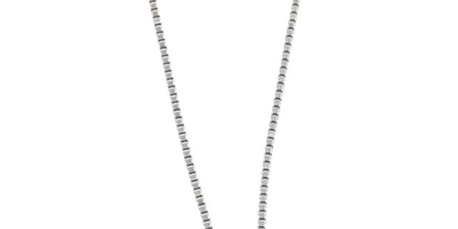 Pánský stříbrný ocelový náhrdelník Cerruti 1881