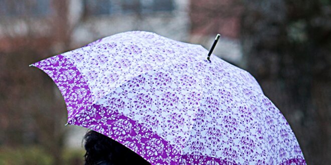 Dámský deštník s vintage fialovým vzorem Alvarez Romanelli