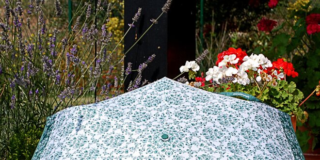 Dámský deštník se vzorem Alvarez Romanelli zelený