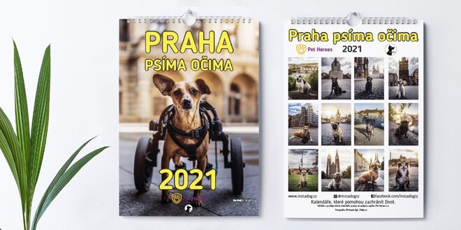 Praha psíma očima: charitativní kalendář 2021