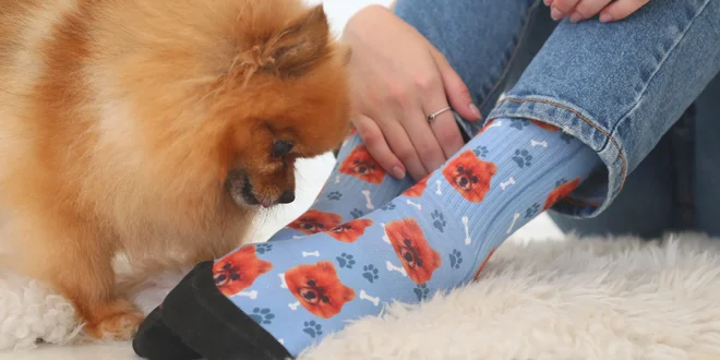 PupSocks: ponožky s fotkou psa, kočky nebo manžela