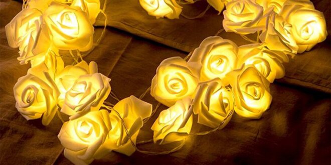 Světelný řetěz s romantickými růžemi