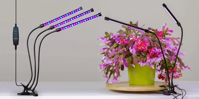 LED osvětlení pro pěstování rostlin doma: 20–30 W