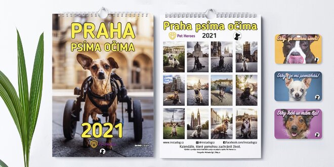 Praha psíma očima: charitativní kalendář i magnety