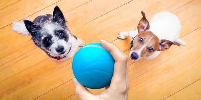 Chytrý míček Cheerble Wicked Ball pro psy