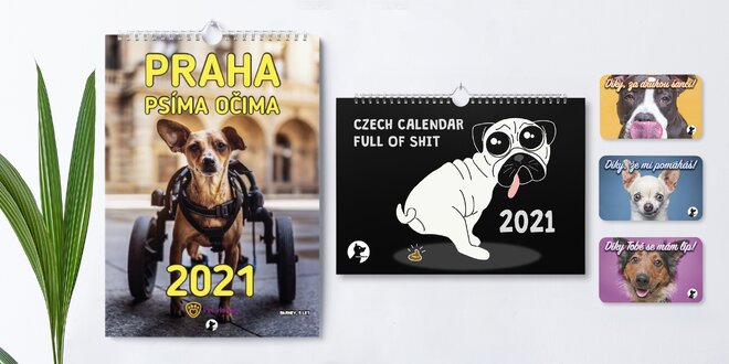 Charitativní psí kalendáře 2021 i magnetky