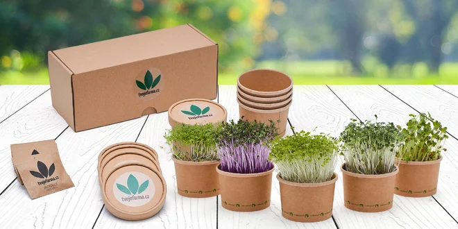 Pěstební sada Microgreens: 3–7 druhů semínek