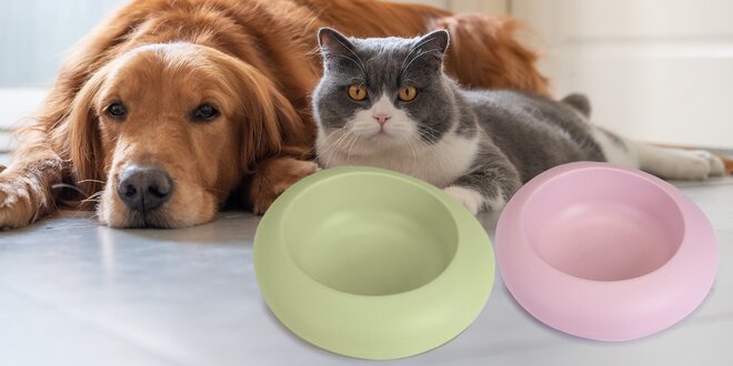 Plastové misky pro psy i kočky: 4 barvy