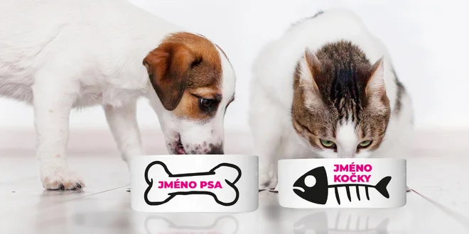 Kočičí nebo psí miska se jménem vašeho mazlíčka