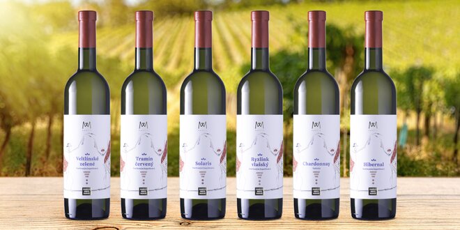 Dárkové sety 6 lahví z vinařství Mantis Mikulov