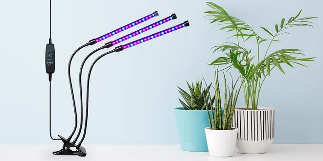 LED osvětlení pro pěstování rostlin doma: 30-40 W
