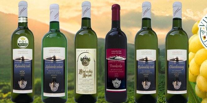 6 vín z blatnického vinařství Jana Cíchy