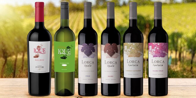 Vína z Argentiny: jednotlivé lahve i kolekce