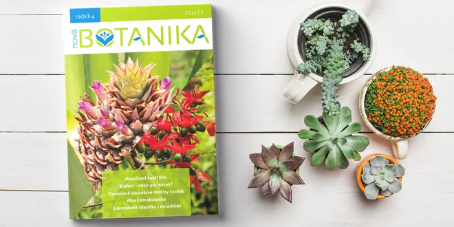 Časopis Nová Botanika v tištěné i digitální verzi