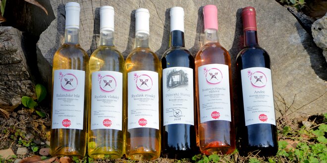 Sada 6 vín z moravského vinařství Kurial