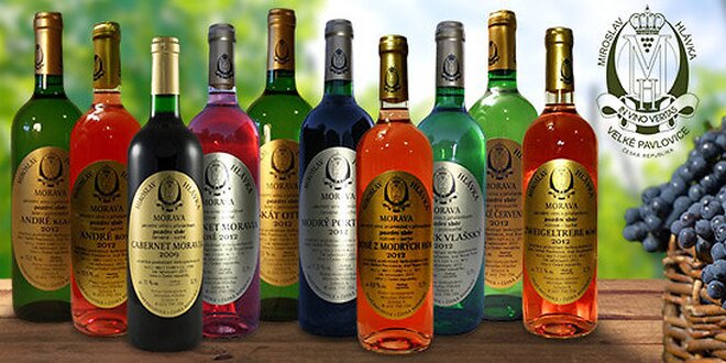 6 moravských vín z rodinného vinařství Hlávka