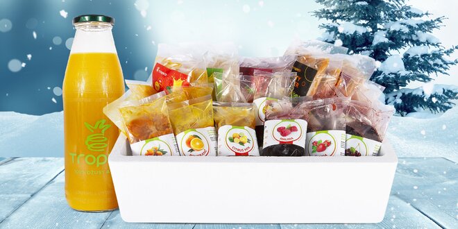 Mražené koncentráty pro přípravu džusů a smoothie