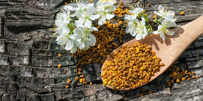 Slovenský včelí peľ – zázrak prírody