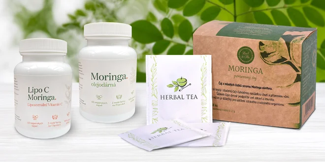 Superpotravina moringa v čaji i veganských kapslích