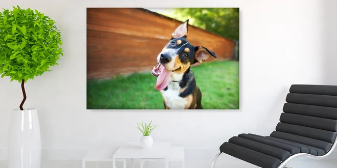 Fotoobraz na jemném nebo hrubém plátně