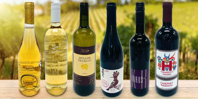 Koštovací balíček 6 vín z celé České republiky
